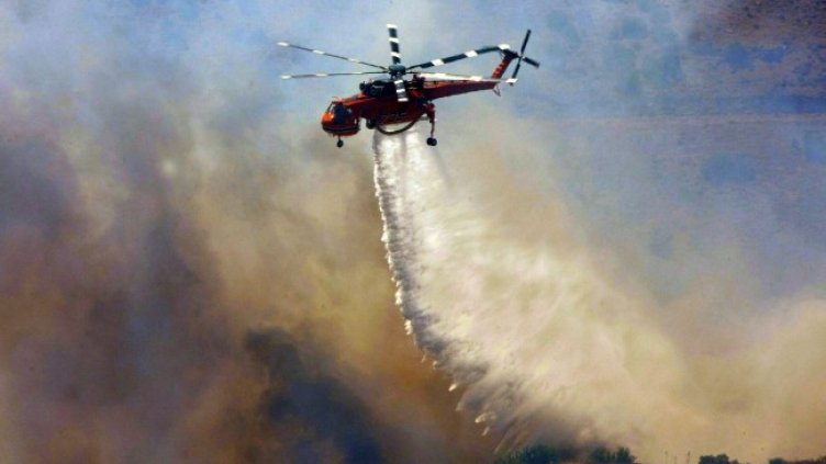 Снимка: архив, БГНЕС