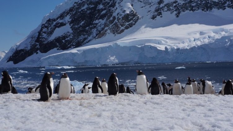 Снимка: Pixabay