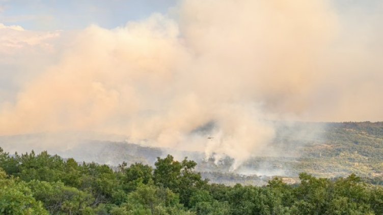 Снимка: БГНЕС