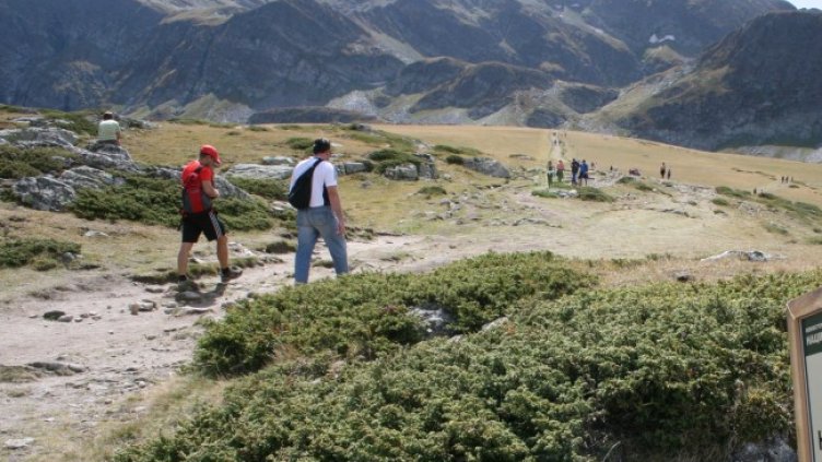 Снимка: архив, БГНЕС