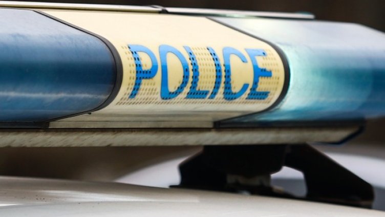 Снимка: архив, БГНЕС