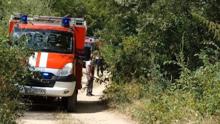 Снимка: БГНЕС