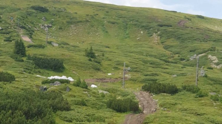 Снимка: архив, БГНЕС