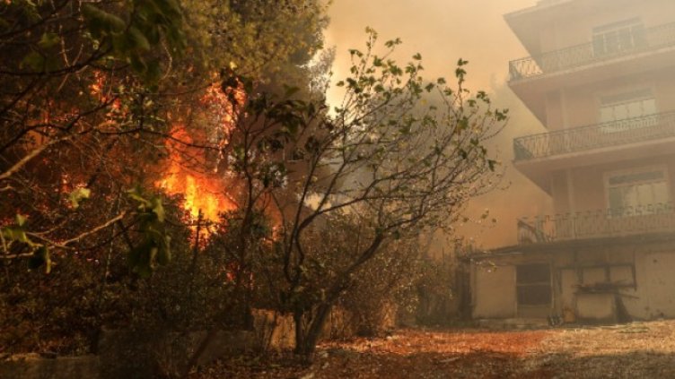 Снимка БГНЕС