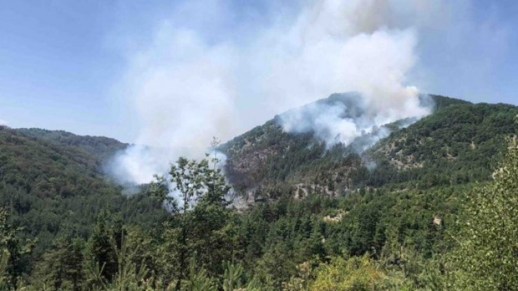 Снимка БГНЕС