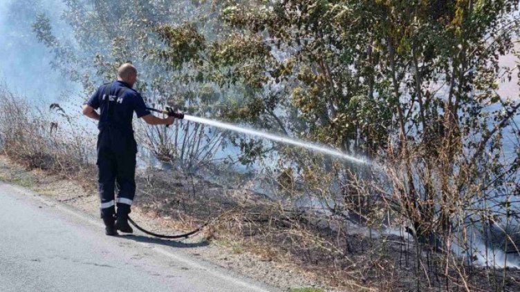 Снимка: БГНЕС