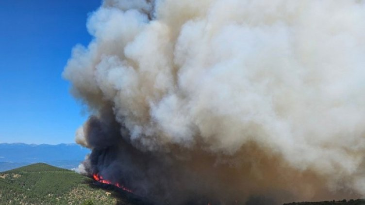 Снимка БГНЕС, архив