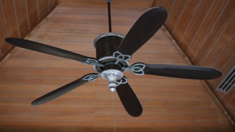 Снимка Пиксабей