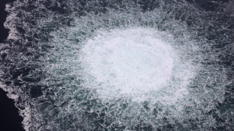 Снимка: архив, БГНЕС