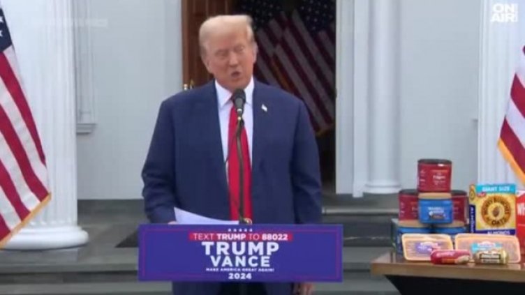 Снимка: Bulgaria ON AIR