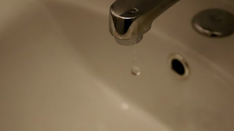 Снимка БГНЕС, архив