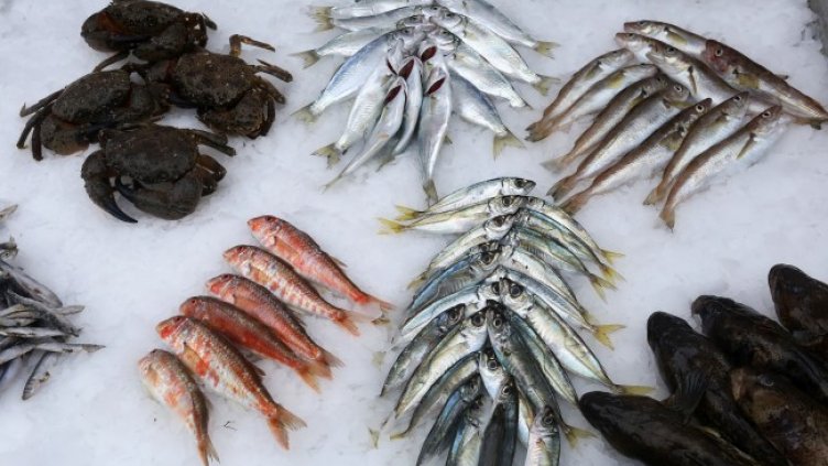 Снимка БГНЕС