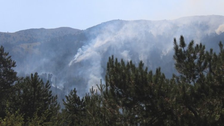 Снимка БГНЕС