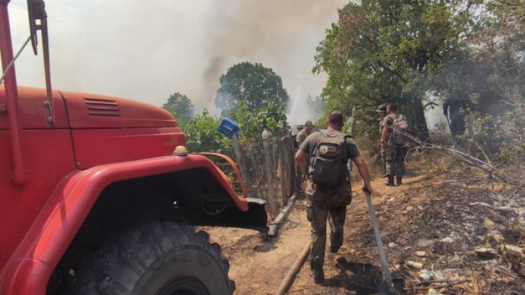 Снимка: БГНЕС