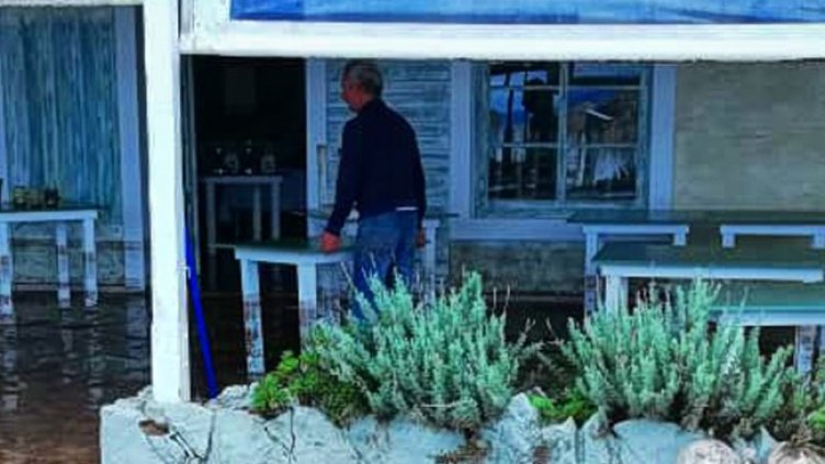 Снимка: архив, БГНЕС