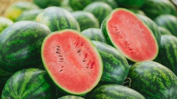 Снимка БГНЕС, архив