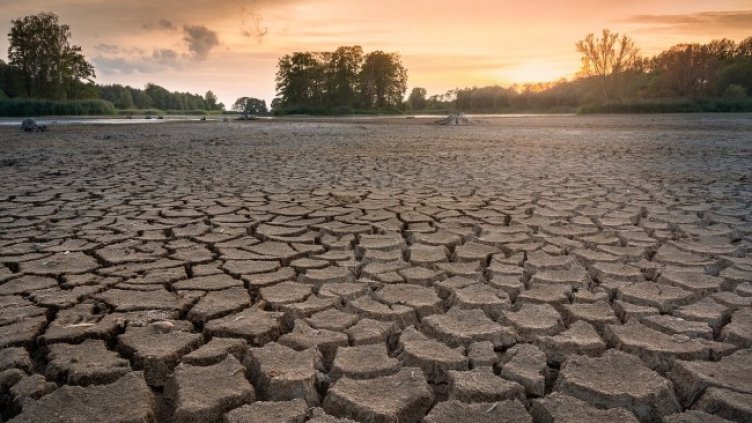 Снимка: Pixabay