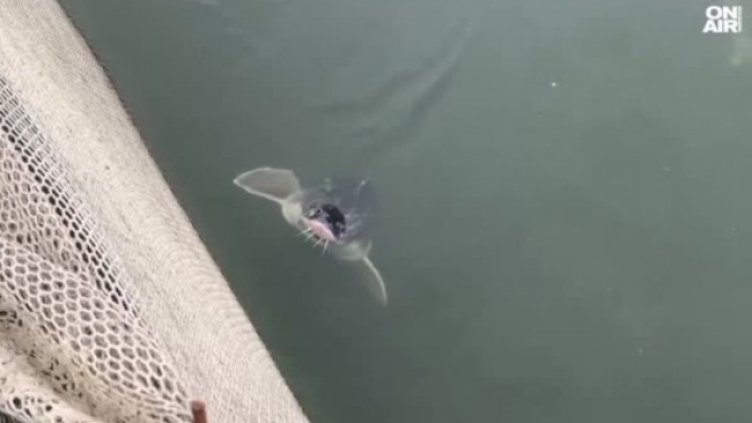 Снимка: Bulgaria ON AIR