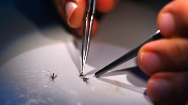 Снимка: БГНЕС/ EPA