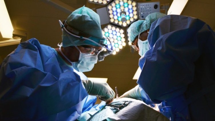 Снимка БГНЕС