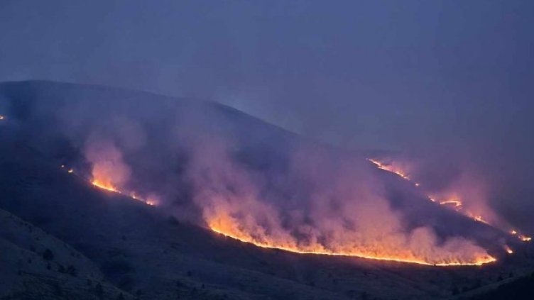 Снимка: БГНЕС