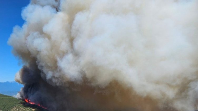 Снимка БГНЕС, архив