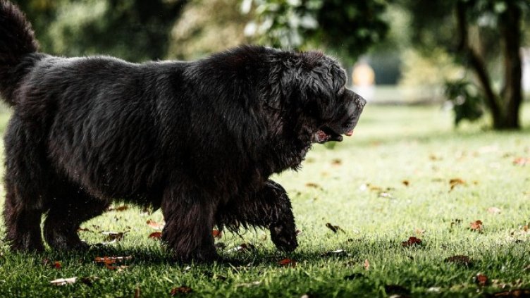 Снимка Пиксабей