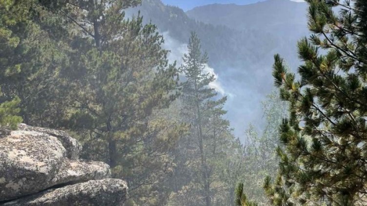 Снимка: БГНЕС