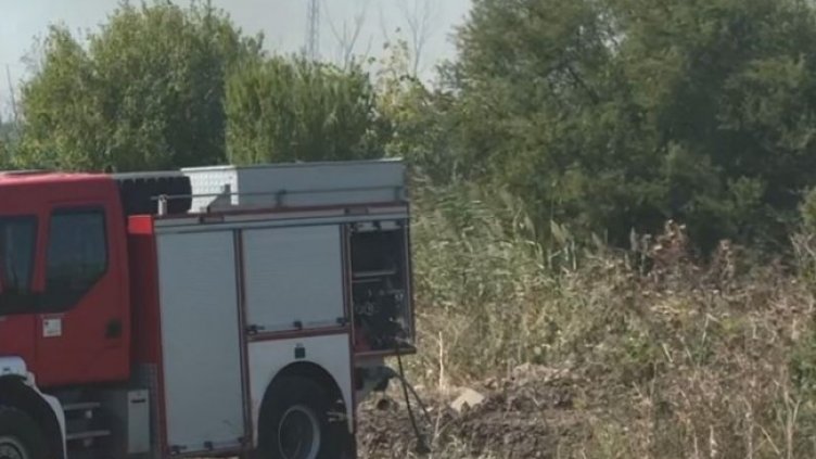 Снимка: БГНЕС