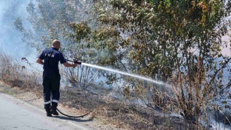 Снимка: БГНЕС