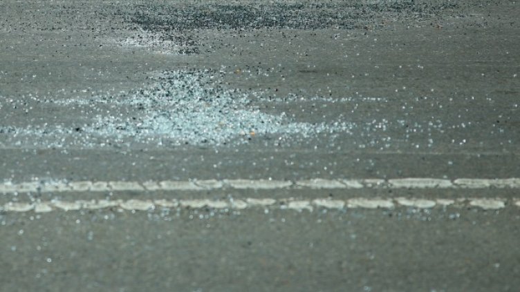 Снимка: БГНЕС, архив