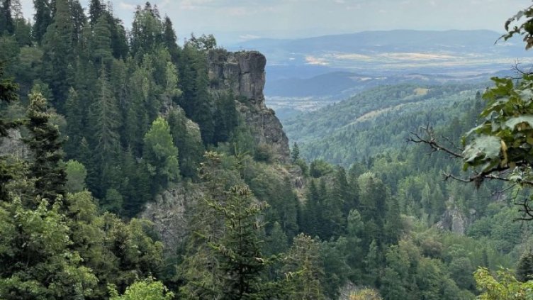 Снимка: БГНЕС