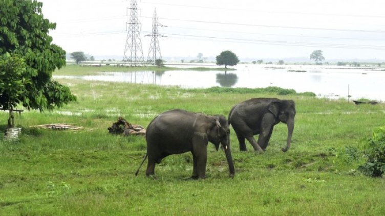 Снимка БГНЕС