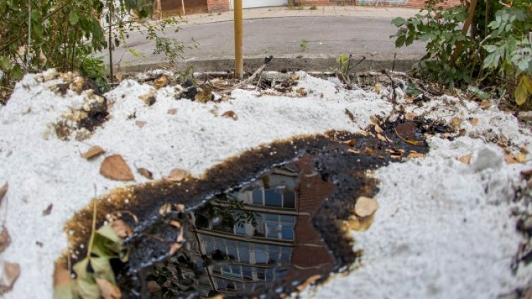 Снимка: Димитър Кьосемарлиев