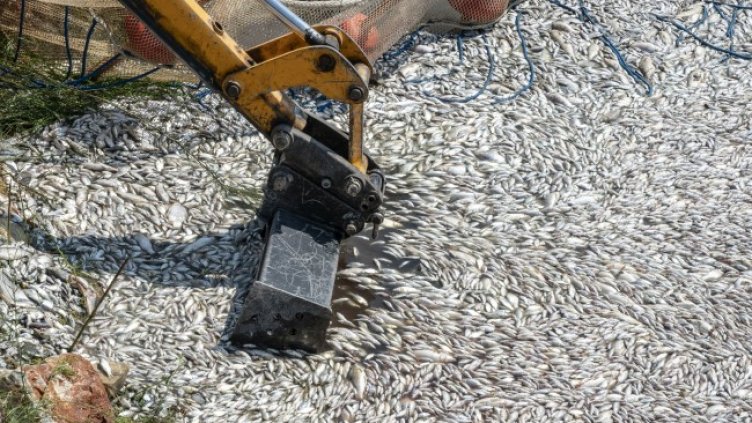 Снимка: БГНЕС/ EPA