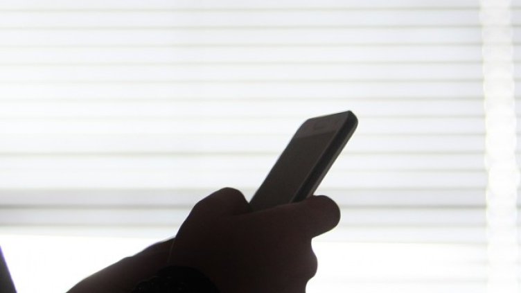 Снимка: архив, БГНЕС