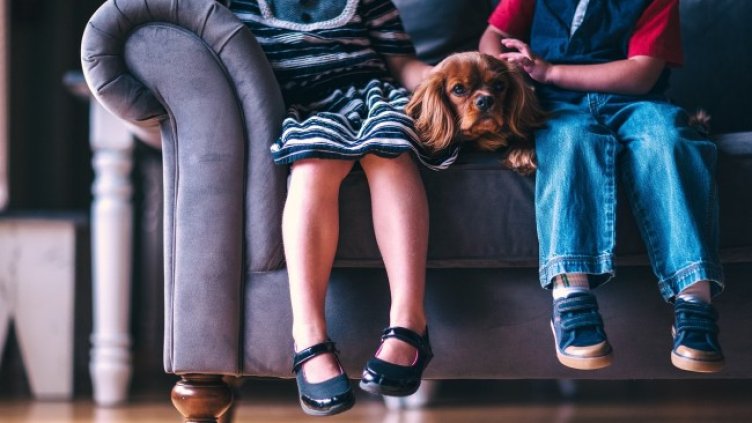 Снимка: Pixabay