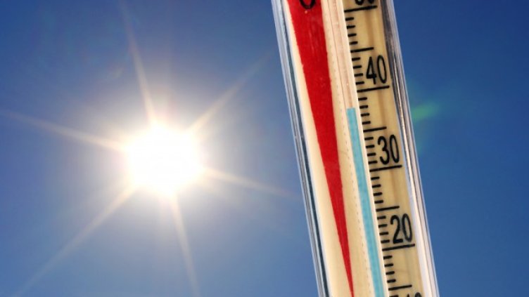 Снимка: архив, БГНЕС