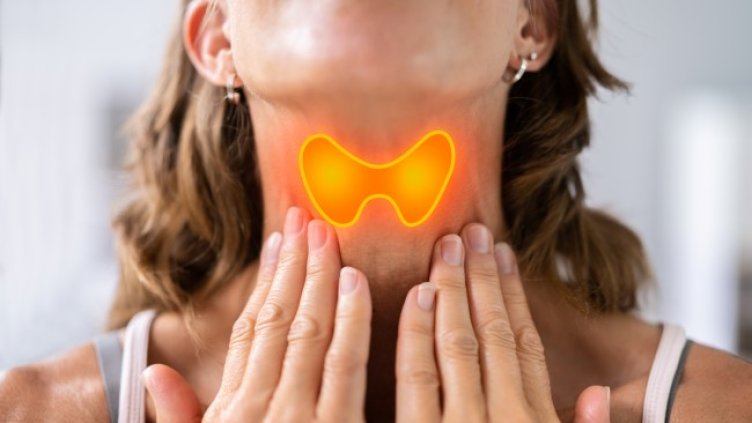 Снимка: Istock