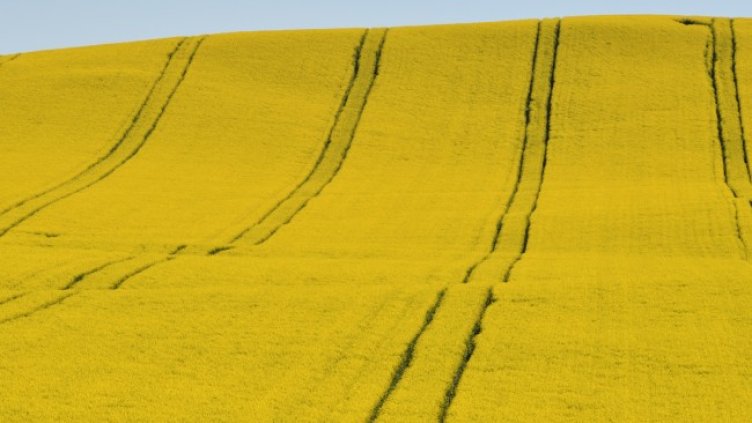 Снимка: БГНЕС/ EPA