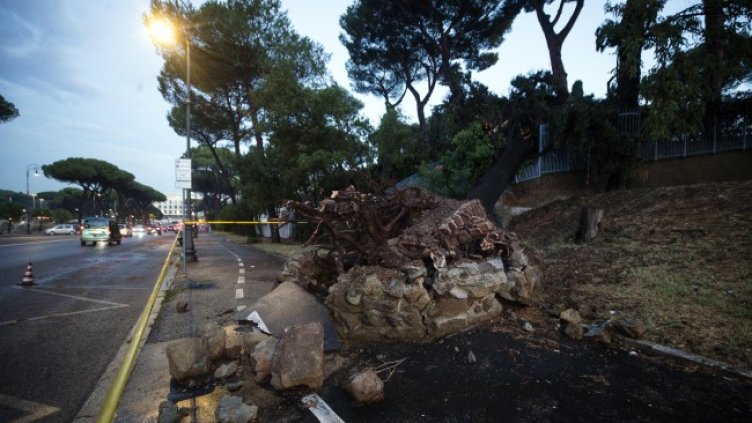 Снимка: БГНЕС/EPA