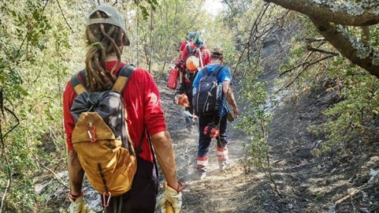 Снимка: Грийнпийс