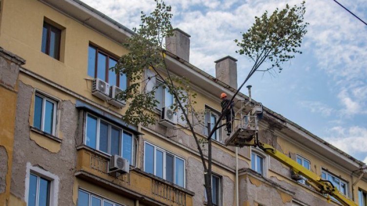 Снимка: Димитър Кьосемарлиев