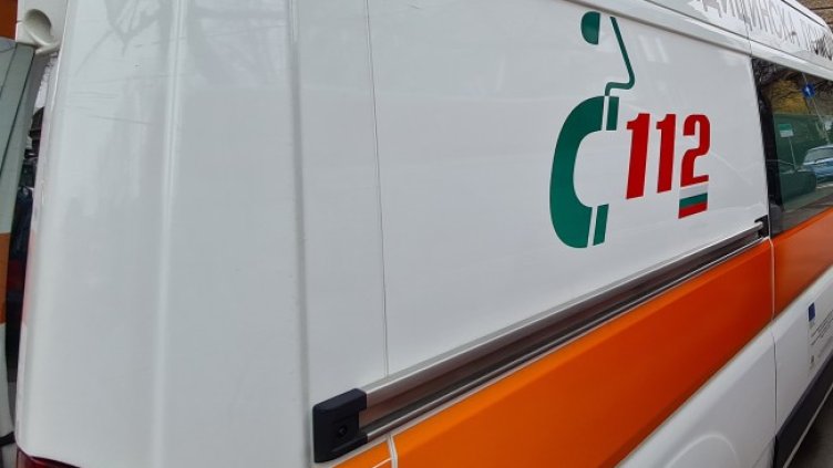 Снимка: архив, БГНЕС