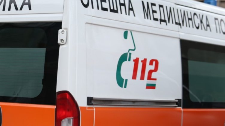 Снимка: архив, БГНЕС