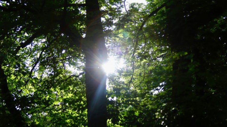 Снимка БГНЕС