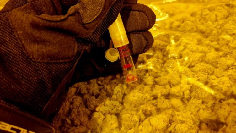 Снимка: Агенция "Митници"