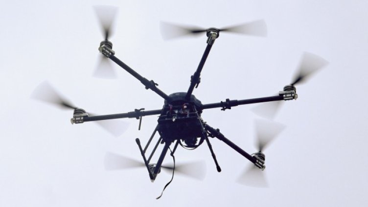 Снимка: архив, БГНЕС