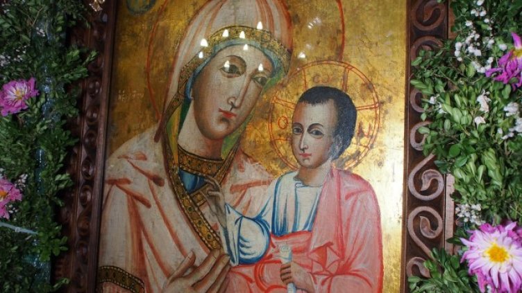 Снимка: архив, БГНЕС