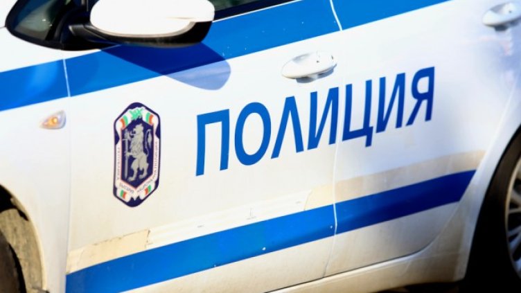 Снимка: архив, БГНЕС